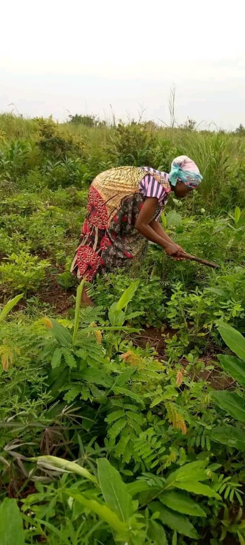 Infrastructure, Health & Environmental Programs